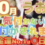 【魚座♓10月後半運勢】お金のパイプが綺麗でスルッと入って貯まりやすい♬♬　ご計画はグッドタイミング！実行にうつして正解です！　※金運激アップランキング有り　✡️キャラ別鑑定付き✡️