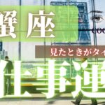 蟹座♋️ 【お仕事運⭐見たときがタイミング】ココママの個人鑑定級タロット占い🔮