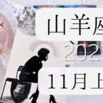 【山羊座♑︎】11月上旬 広がるビジョン 追い風に心のまま踊る 先入観のない初々しいクリアなお知らせがステージアップの展開へ?!