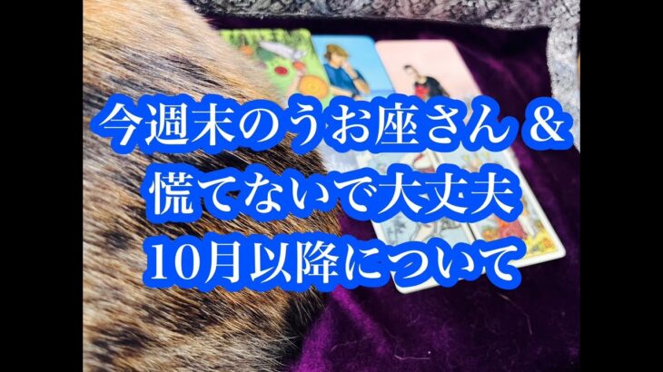 ここから選べます！今週のうお座さん & 10月以降について。You can choose! This week’s Pisces & about October and beyond.