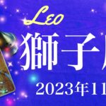 【しし座】2023年11月♌️授かる！届く贈り物、長年の我慢を終えるとき、生まれ出る可能性、リセット、優しい世界へ、ゼロの強さを知るタイミング