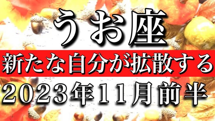 うお座♓︎2023年11月前半 新たな自分が拡散する　Pisces✴︎early November 2023