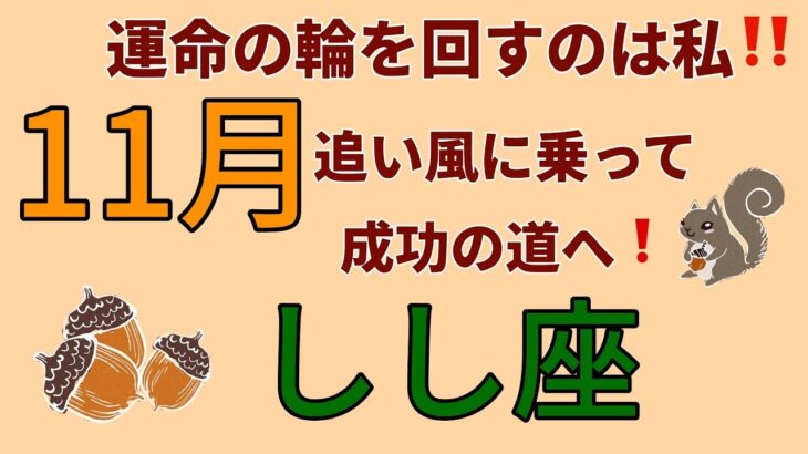 もう大丈夫👍これで安心❣️動く、始める、まずやってみる‼️獅子座♌️11月の運勢🌟タロットカードリーディング