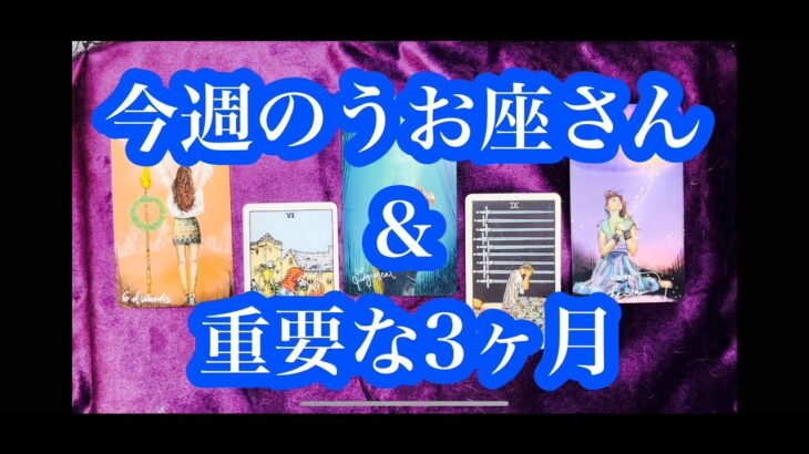 重要な3か月です！過ごし方を解説。今週のうお座さん & 冬至までの重要な3か月。Pisces & the important 3 months to the winter solstice.