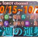 どうなる⁉️天秤座♎️蠍座♏️射手座♐️山羊座♑️水瓶座♒️魚座♓️【10/15〜10/21週間リーディング】#直感リーディング #タロット占い #2023