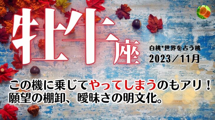 牡牛座♉2023年11月★この機に乗じてやってしまうのもアリ！願望の棚卸、曖昧さを明文化していける11月。