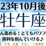 🌈おうし座♉10月後半タロットリーディング│全体運・恋愛・仕事・人間関係