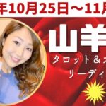 ♑️ルーティンが途切れる？そこに大切な気付きがある。光の存在はいつも近くにいる。#山羊座  #やぎ座 #12星座別 #タロット #タロットリーディング