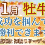 🍁牡牛座11月🍁成功をガッチリ掴んで願いが叶う👏あなたは大勝利できます！【個人鑑定級】深掘りリーディング🧚大仕事運,人間関係運,金運［タロット/オラクル］