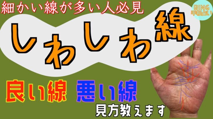 【線が多い人必見🤲】生命線・運命線周りの細かい線をどこよりも詳しく解説！！鑑定歴22年占い師の手相勉強会第39回。#公式ラインで手相募集中 #手相