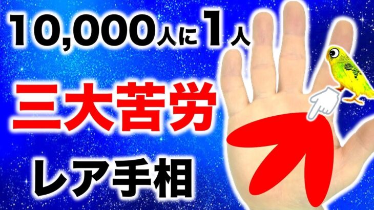 【手相】この３つが揃うと人生３大苦労…乗り越えると…【切り抜き】