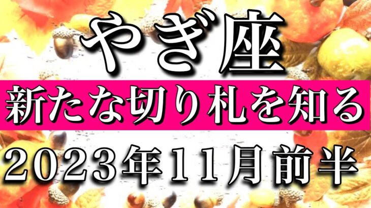 やぎ座♑︎2023年11月前半 新たな切り札を知る　Capricorn✴︎early November 2023