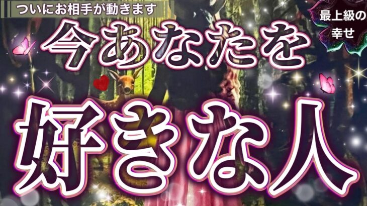 【最上級な幸せ💘】遂に動きます❣️”今あなたを好きな人”チャンスを逃さないで⚠️一部辛口あります＃タロット＃占い＃タロット占い