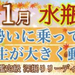 🍁水瓶座11月🍁予祝！お仕事が絶好調🌈勢いに乗って迷いなく突き進める【個人鑑定級】深掘りリーディング🧚大仕事運,人間関係運,金運［タロット/オラクル］