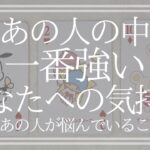 今あの人の中で一番強いあなたへの気持ち、今あの人が悩んでいること【恋愛・タロット・オラクル・占い】