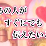 あの人がすぐにでも伝えたいこと【恋愛💖タロット】