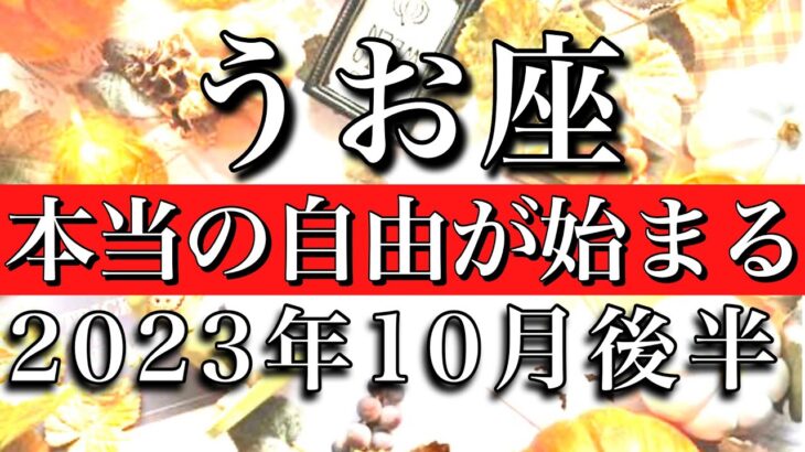 うお座♓︎2023年10月後半　本当の自由が始まる　Pisces✳︎late October 2023