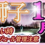 【2023年12月の運勢・獅子座（しし座）】西洋占星術×東洋占×タロット…水森太陽が全体運・仕事運・金運＆恋愛運を占います