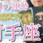 🌹🕊2023年12月【射手座】今月の出来事があるからこそ来年の幸せが手に入る💐🕊️🌟