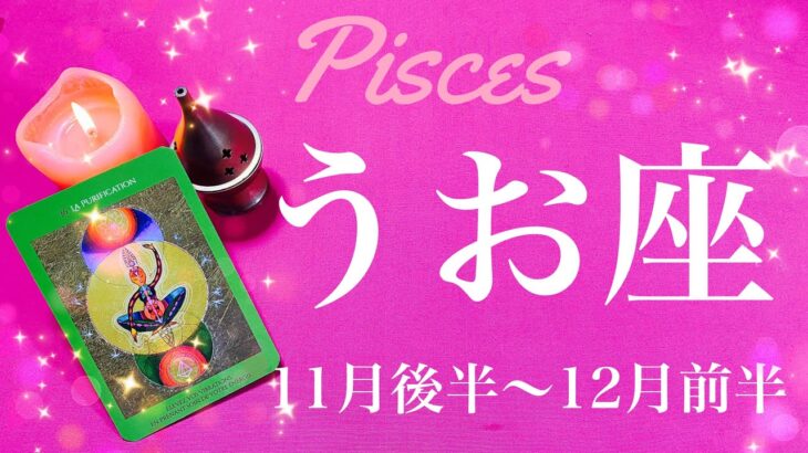 うお座♓️2023年11月後半〜12月前半🌝始まりの合図！愛を受け取る、大デトックス、リセットのとき、向こう岸へ、越えていく