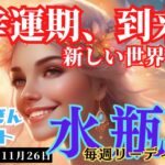 【水瓶座】♒️2023年11月20日の週♒️大幸運期‼到来🌈️新しい世界の中を前進する🌟タロットリーディング🍀