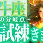 大きく人生を動かす局面【牡牛座♉️覚醒】圧倒的なリーダーシップをとって大感謝されます