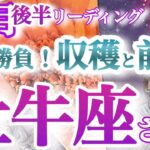 牡牛座11月後半【笑顔で勝つ！成果をつかむ秘訣は真剣勝負】金運上昇！輝いて活躍するあなたに熱い眼差しが集まる時です　おうし座１１月　タロットリーディング