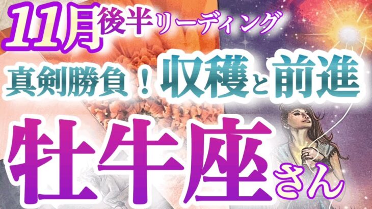 牡牛座11月後半【笑顔で勝つ！成果をつかむ秘訣は真剣勝負】金運上昇！輝いて活躍するあなたに熱い眼差しが集まる時です　おうし座１１月　タロットリーディング