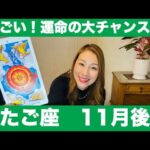 ふたご座♊️11月後半🔮すごい！運命の大チャンス！新たなチャンスを逃さずすぐに動いて✨