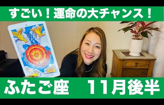 ふたご座♊️11月後半🔮すごい！運命の大チャンス！新たなチャンスを逃さずすぐに動いて✨