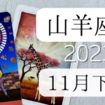 【山羊座♑︎】11月下旬 楽しみまくる！このタイミングを見逃すわけにはいかない 極上の決断は自分の意識の変化と共に繋がる　繁栄期