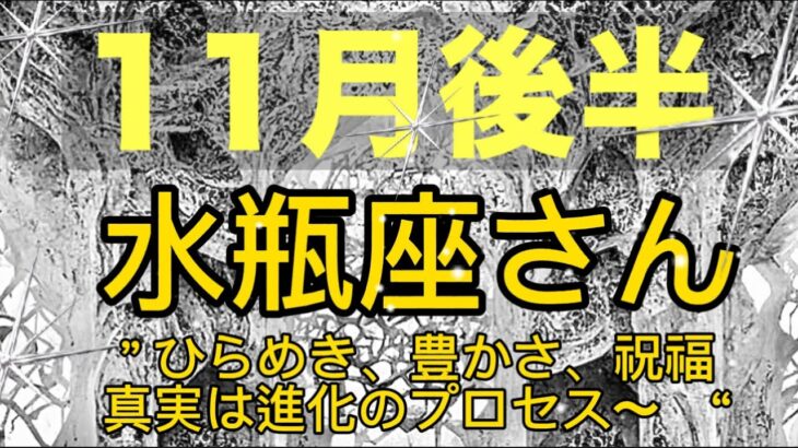 みずがめ座⭐️１１月後半のエネルギー⭐️“  ひらめき、豊かさ、祝福、真実は進化のプロセス〜〜”⭐️宇宙からのメッセージ ⭐️シリアン・スターシード・タロット⭐️Aquarius♒️