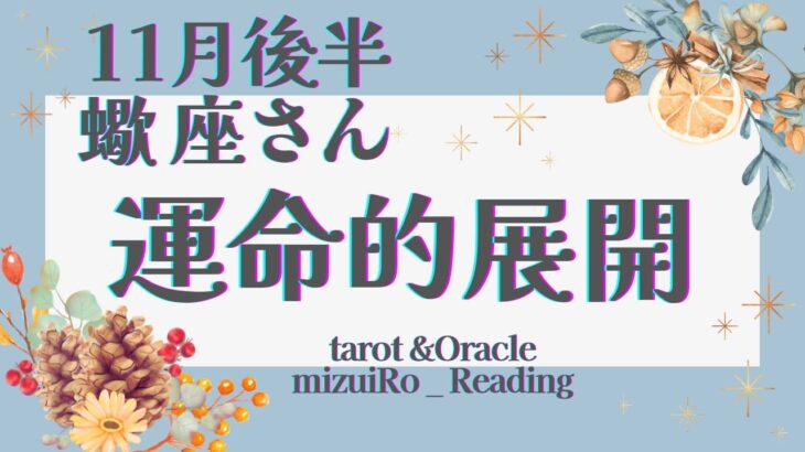 【蠍座】大アルカナ集合‼︎ “生まれ変わる”ような心の変化🦋 仕事運 /対人運 /恋愛運・家庭運/全体運/星座別リーディング/タロット占い/11月後半