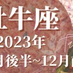 【おうし座11月後半】ついにきた、涙の完結、必要な手放し、人生を”もっと楽しむ”時間がやってきます🌈ふわっと肩の荷が下りていく、身軽になる【牡牛座 １１月運勢　タロットリーディング】