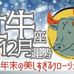 【12月 牡牛座】大仕事を納めてお疲れ様です‼️年末に向けて効率的なスローダウンを目指して✨その秘訣とは😇🔮タロット&オラクル