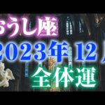 【2023年12月おうし座】総合運🐄恋愛運・仕事学業運・対人関係も🎶