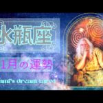 《水瓶座》2023年11月の運勢　未知の世界へ舞い上がる🦄✨翼が現れます🙌🌠願望成就おめでとうございます💐💖✨️