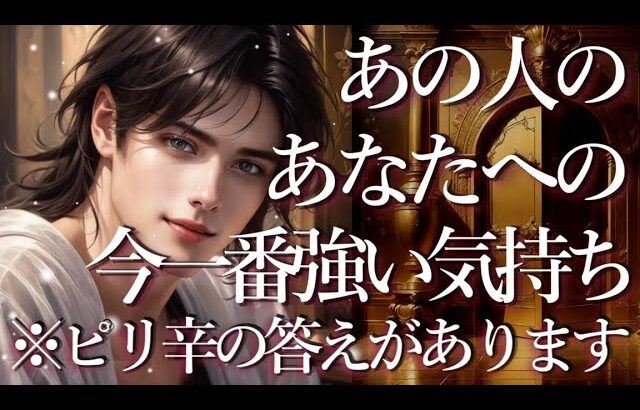 ※ピリ辛あり🌶️あの人のあなたへの今一番強い気持ち👀占い💖恋愛・片思い・復縁・複雑恋愛・好きな人・疎遠・タロット・オラクルカード