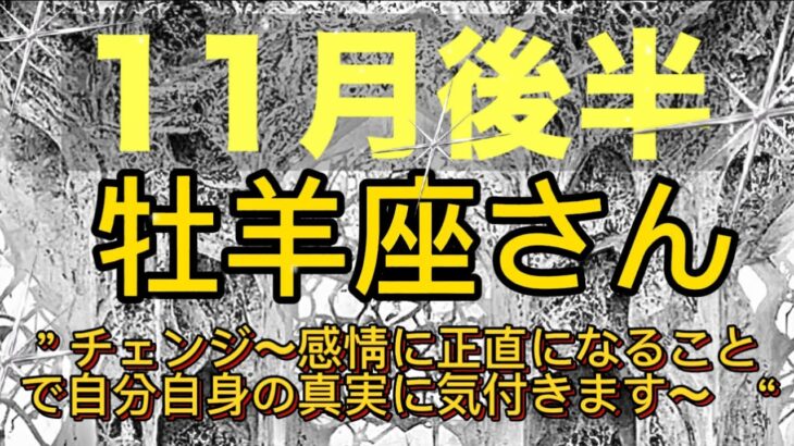 牡羊座⭐️11月後半のエネルギー⭐️“  チェンジ〜感情に正直になることで自分自身の真実に気付きます〜”⭐️宇宙からのメッセージ ⭐️シリアン・スターシード・タロット⭐️Aries ♈️