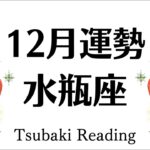 水瓶座の強運、もうレベルが違くて笑っちゃう。時代の絶対覇者、最高の締めくくりになる１２月運勢♒仕事恋愛対人♒個人鑑定級タロットヒーリング