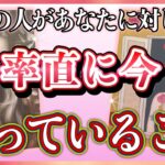 《ストレートな本音が…🫢🌈》❤️あの人があなたに対して、率直に今思っていること❤️★ 恋愛 人間関係 人生 運命★タロット占い＆オラクルカードリーディング