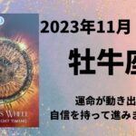 【牡牛座】運命が動き出す✨今までの経験があなたを助けてくれますよ🌈【おうし座2023年11月16～30日の運勢】