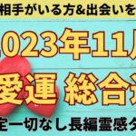 【マンスリー鑑定🍁】11月の恋愛運❤️総合運🌟ツインレイ/ソウルメイト/運命の相手/複雑恋愛/曖昧な関係/復縁/片思い/音信不通/ブロック/未既読スルー/好き避け/恋愛/結婚/占い/リーディング/霊視