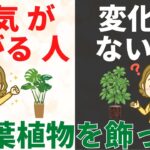 観葉植物で運気アップする人、しない人の違いはコレ【風水アドバイザーが解説】