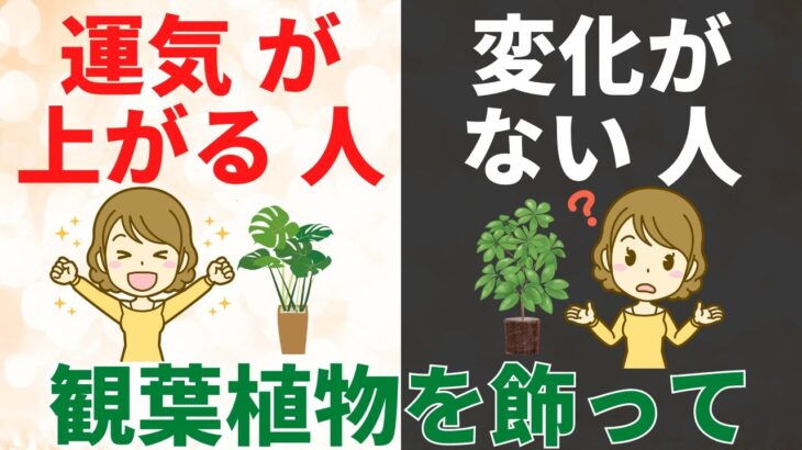 観葉植物で運気アップする人、しない人の違いはコレ【風水アドバイザーが解説】