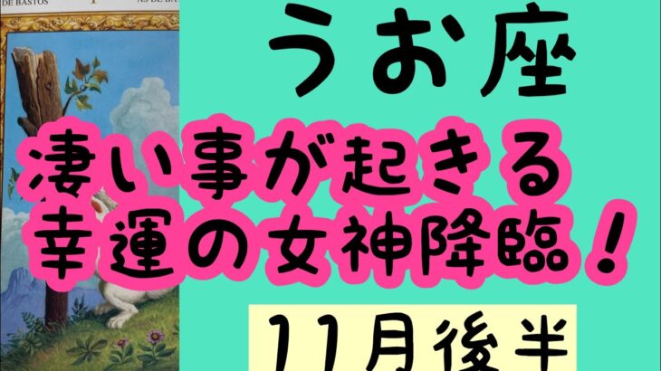 【11月後半の運勢】うお座　凄い事が起きるよ。幸運の女神が降臨！超細密✨怖いほど当たるかも知れない😇#星座別#タロットリーディング#うお座