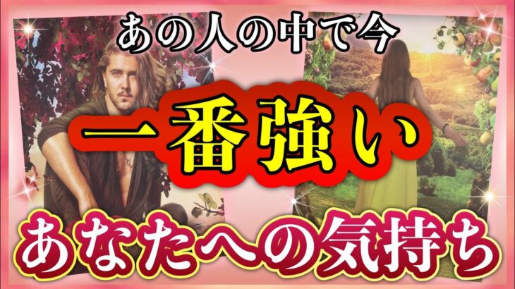 《誠実で熱い想いが…🥺🔥！》❤️あの人の中で今、一番強い☝️あなたへのお気持ち❤️★ 恋愛 人間関係 人生 運命★タロット占い&オラクルカードリーディング