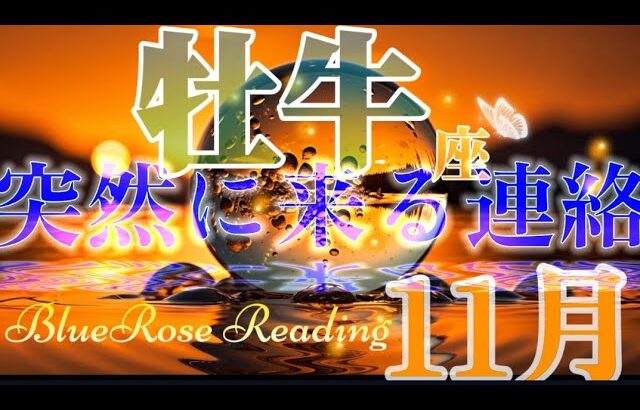 【おうし座♉】11月運勢🌈突然に来る連絡💌あなたの中に答えがあるはず✨#tarotreading #lenormand #レムリア#おうし座🙇ピンボケしております