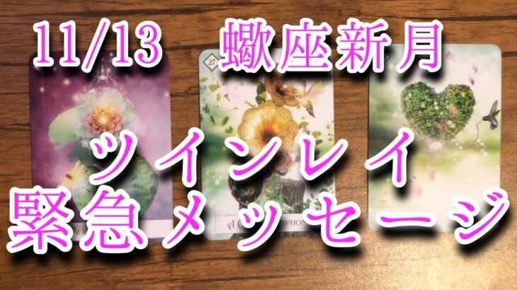 ✨蠍座新月メッセージのお届けです✨【ツインレイリーディング】