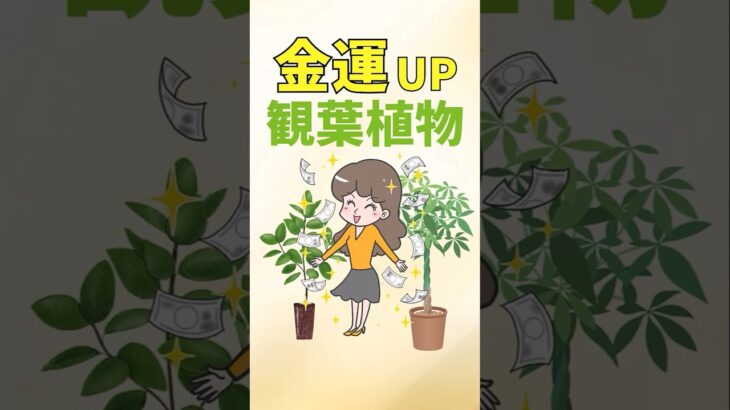 金運アップ最強の観葉植物ベスト5【風水アドバイザーがご提案】#shorts